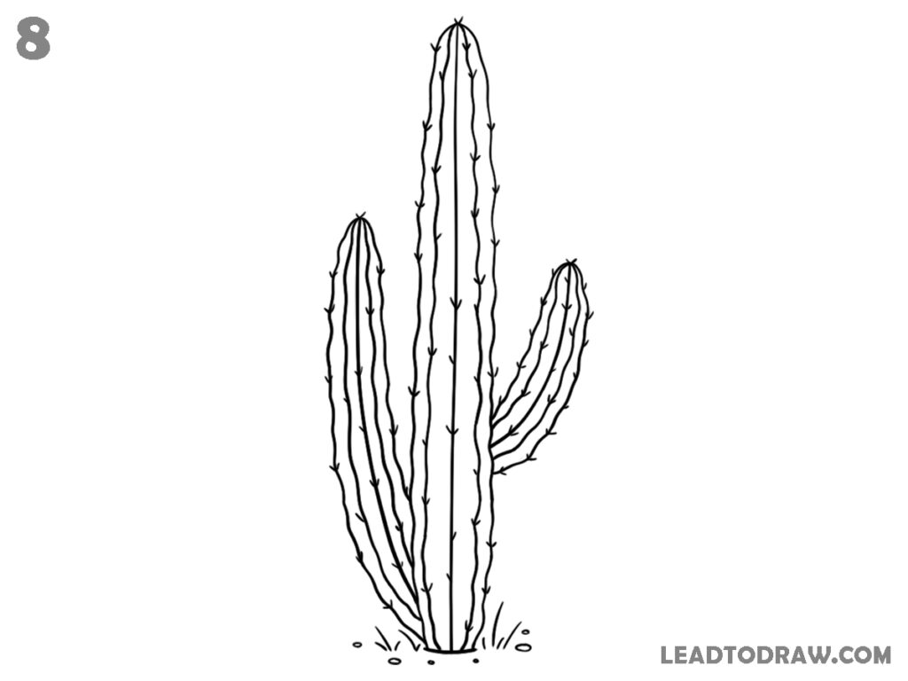 how to draw a cute cactus