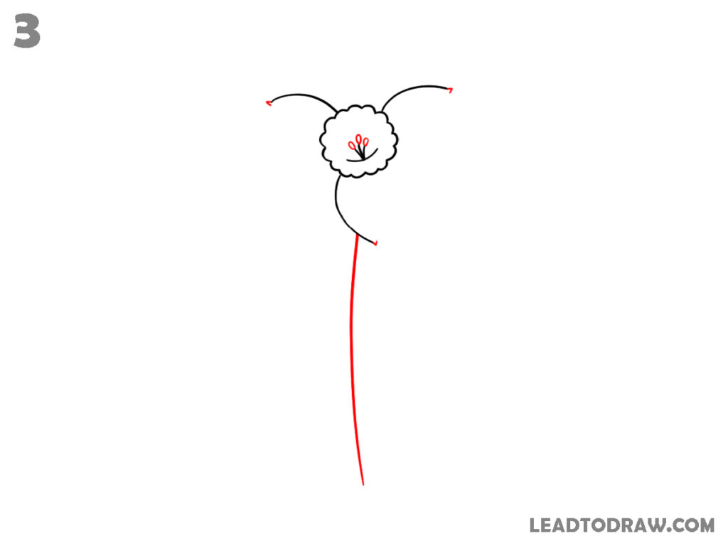 how to draw daffodil