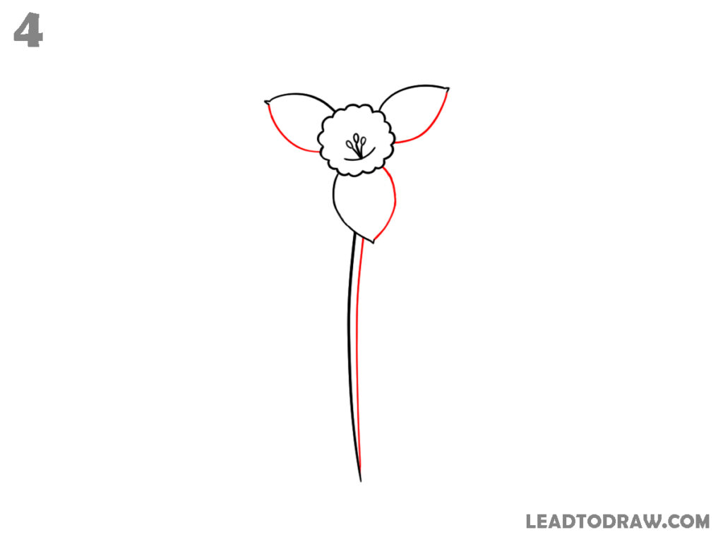 how to draw a daffodil step by step