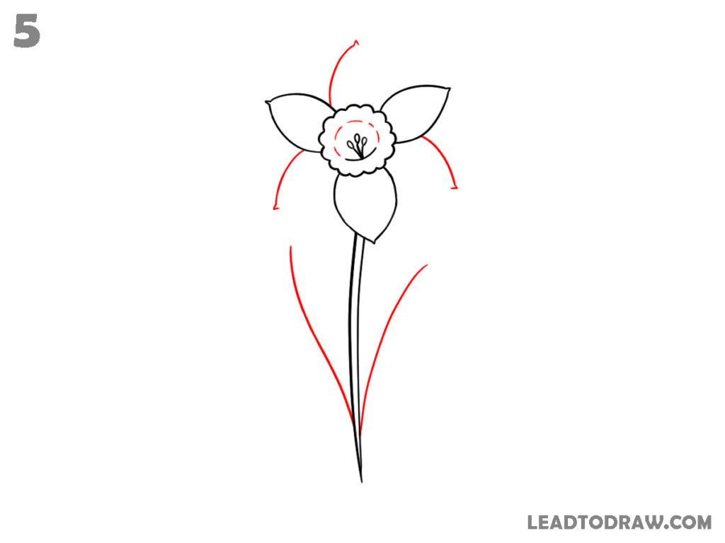 how to draw a daffodil step by step