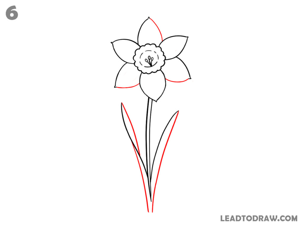 how to draw a daffodil step by step