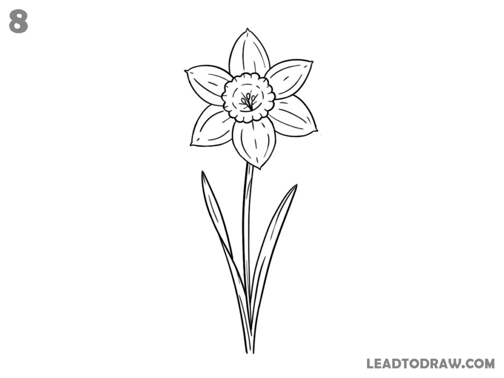 how to draw a daffodil flower