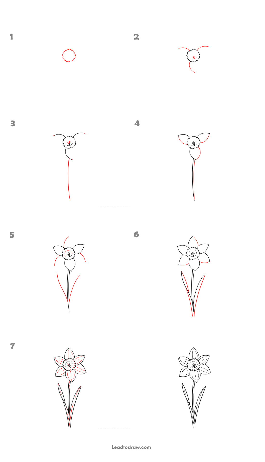 how to draw a daffodil flower