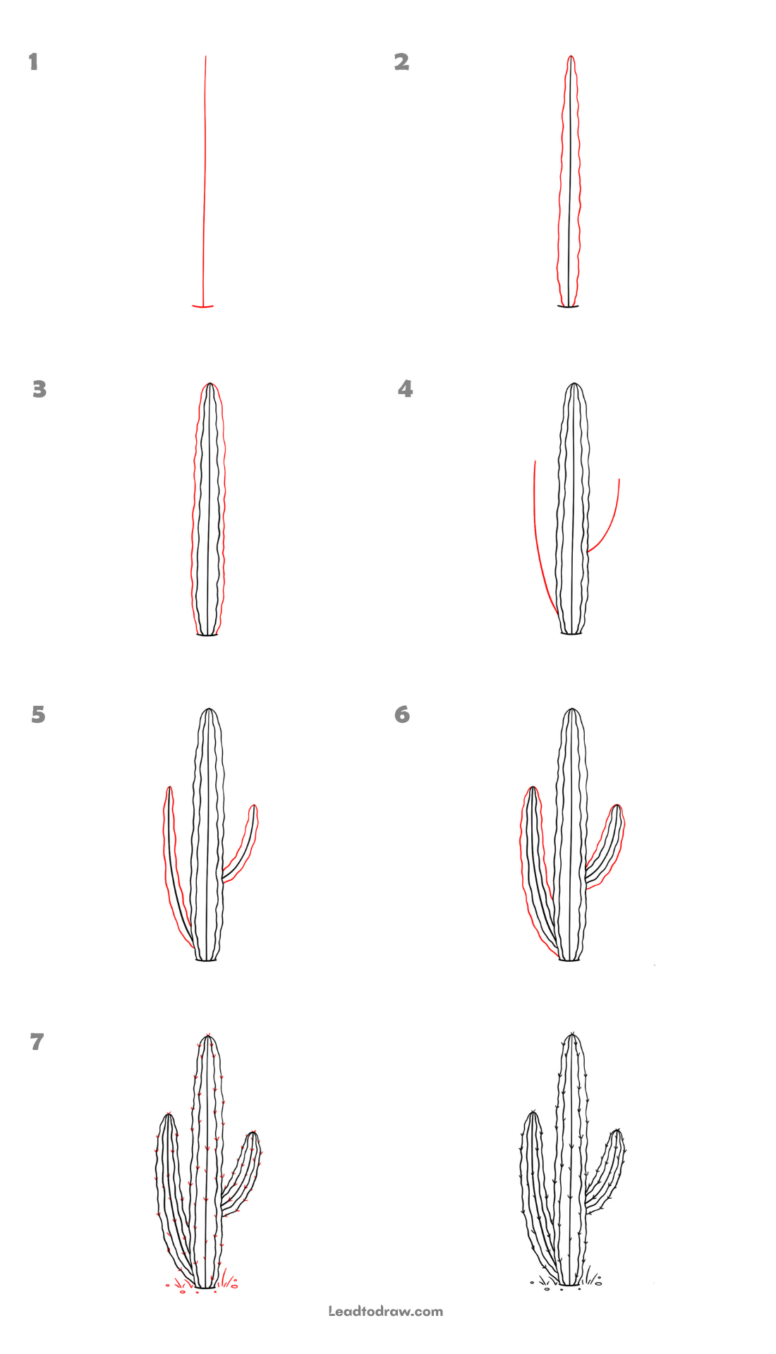 how to draw cactus step by step