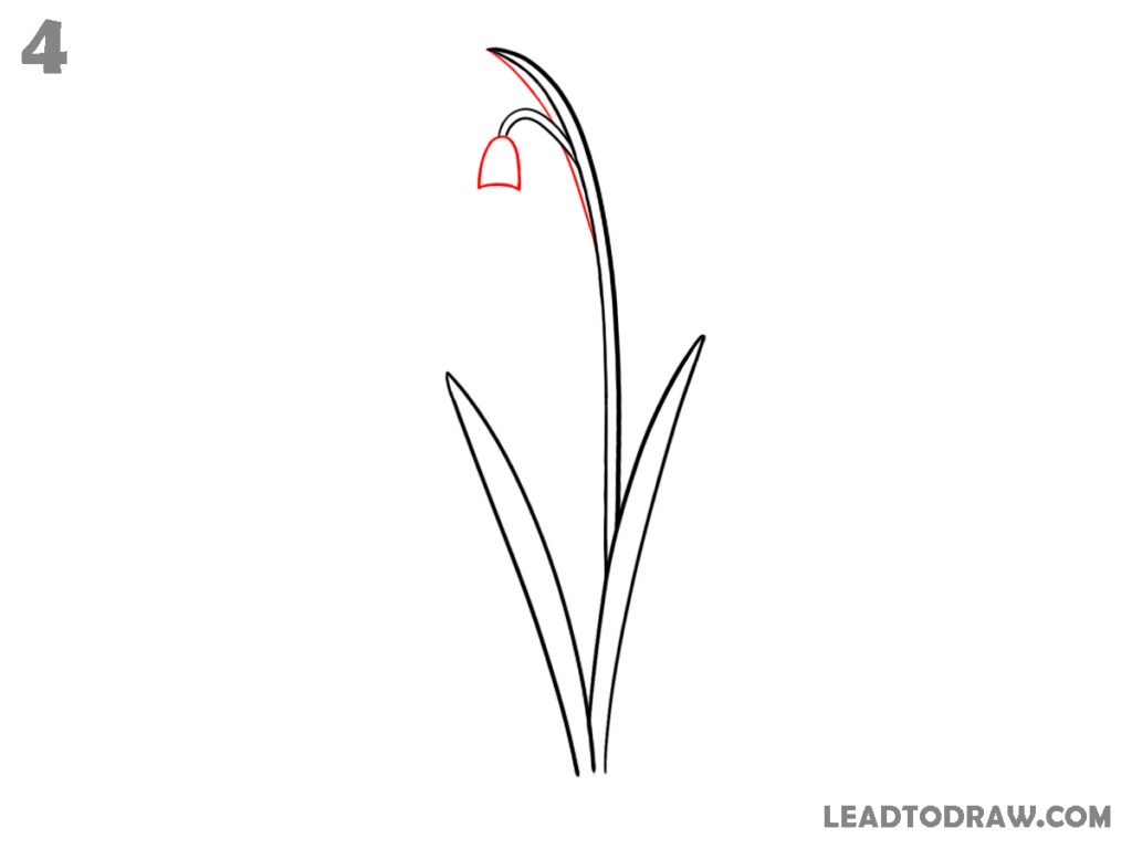 how to draw a snowdrop flower step by step