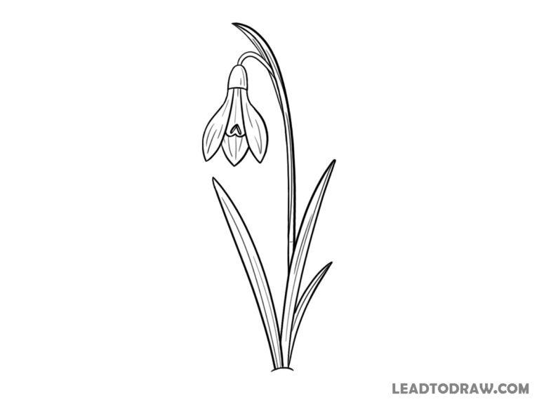 how to draw snowdrop flower