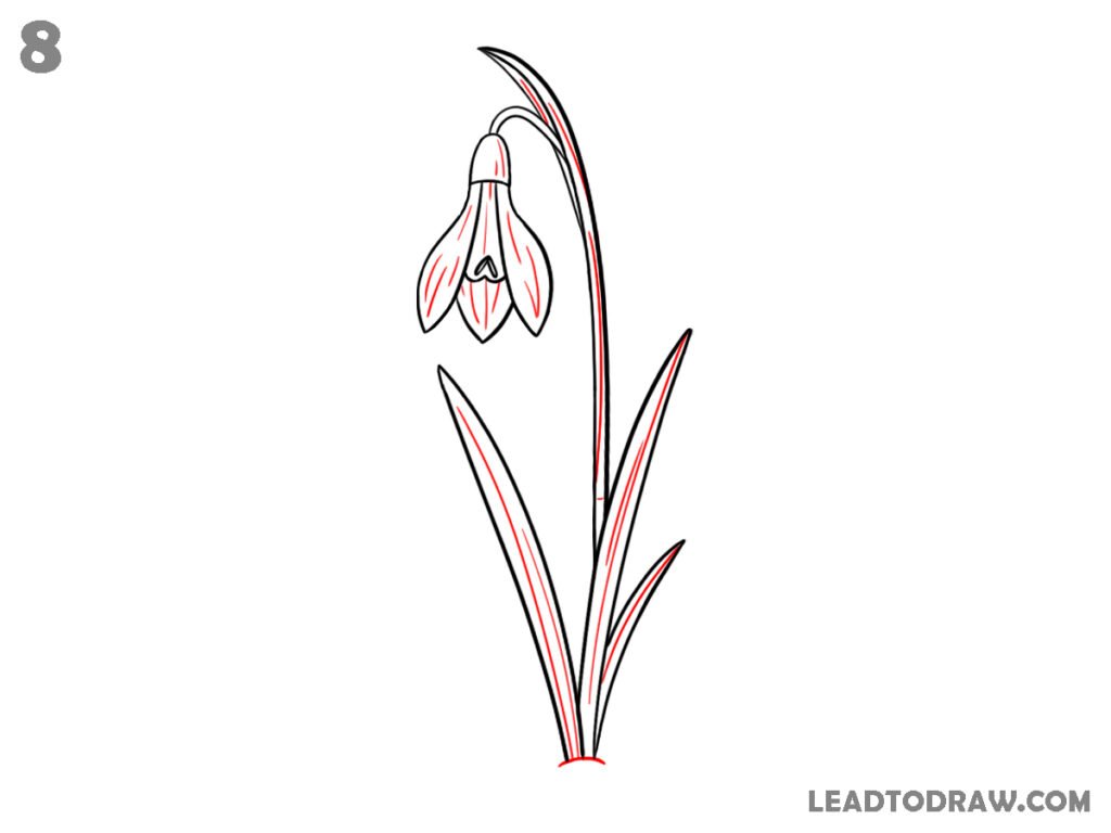 how to draw snowdrop flower