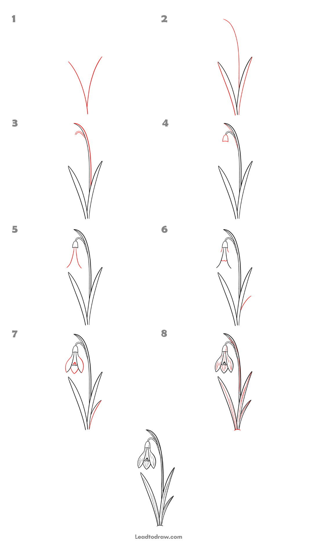 how to draw a snowdrop flower
